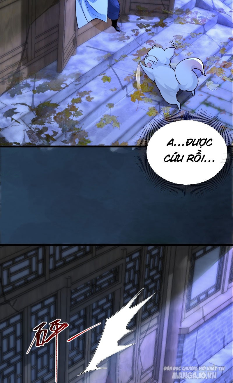 Ta Thật Không Muốn Làm Thần Tiên Chapter 3 - Trang 2