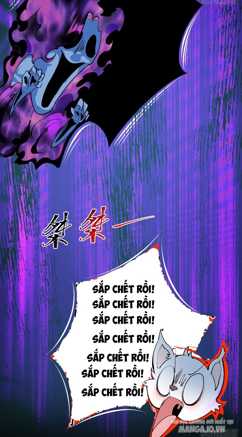 Ta Thật Không Muốn Làm Thần Tiên Chapter 3 - Trang 2