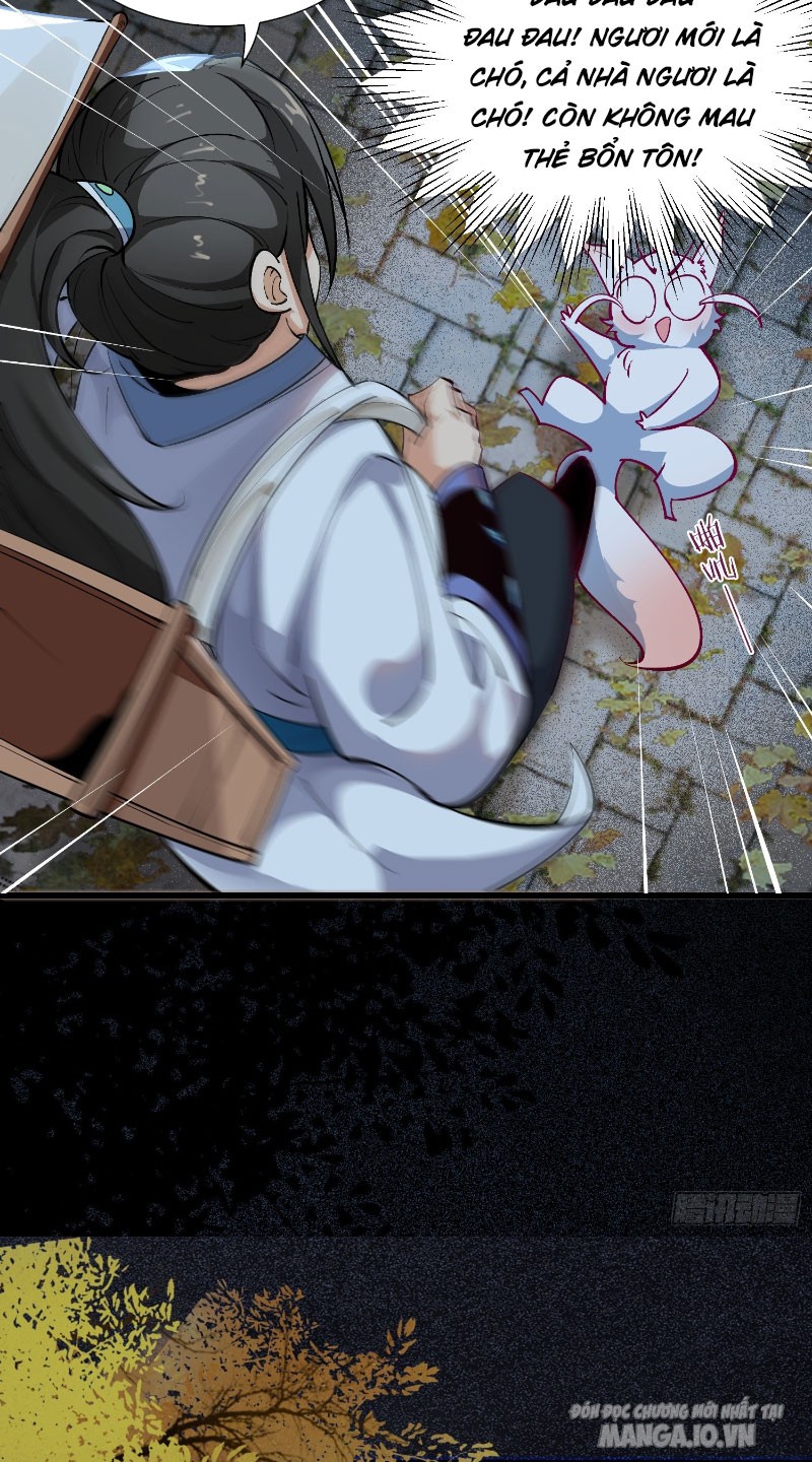 Ta Thật Không Muốn Làm Thần Tiên Chapter 3 - Trang 2