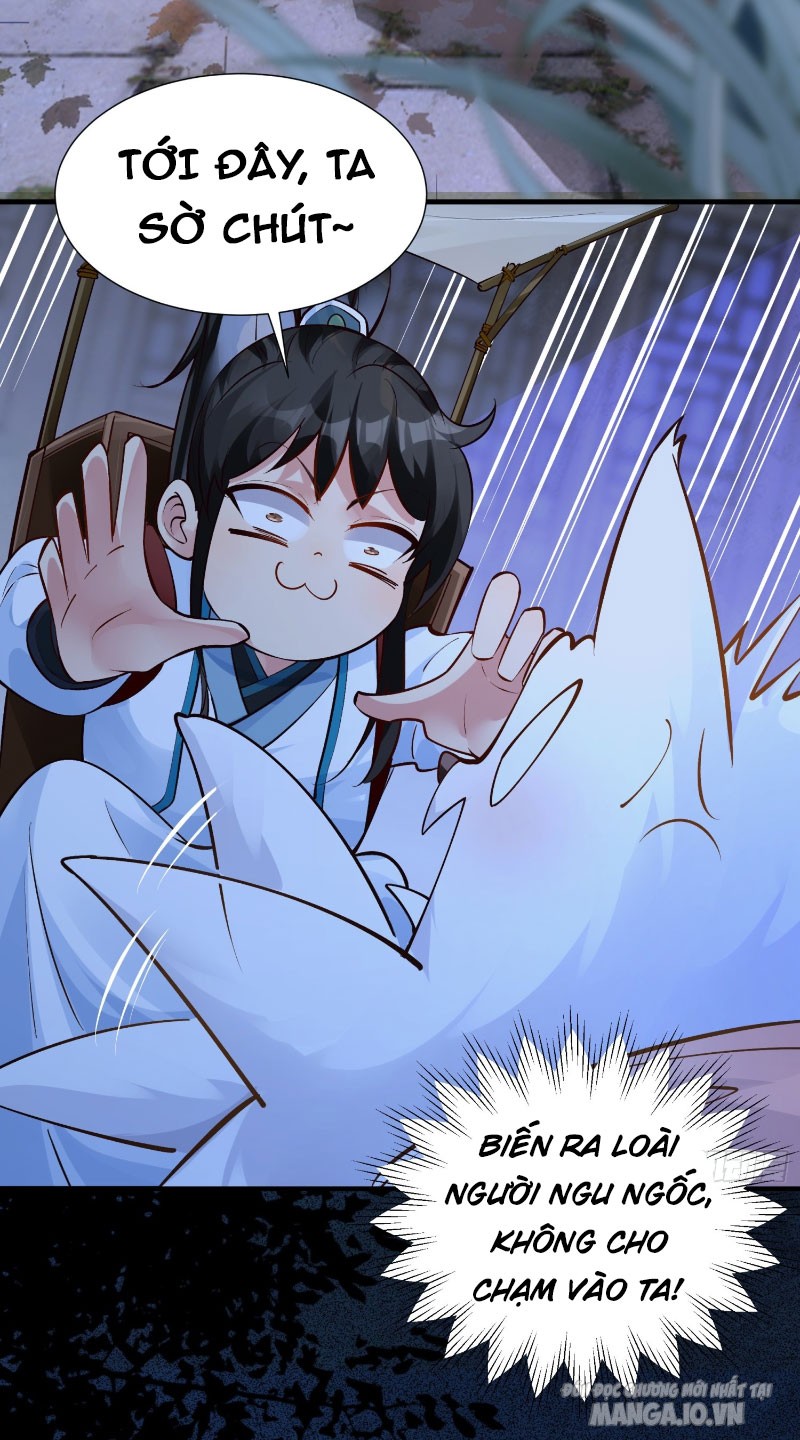 Ta Thật Không Muốn Làm Thần Tiên Chapter 3 - Trang 2