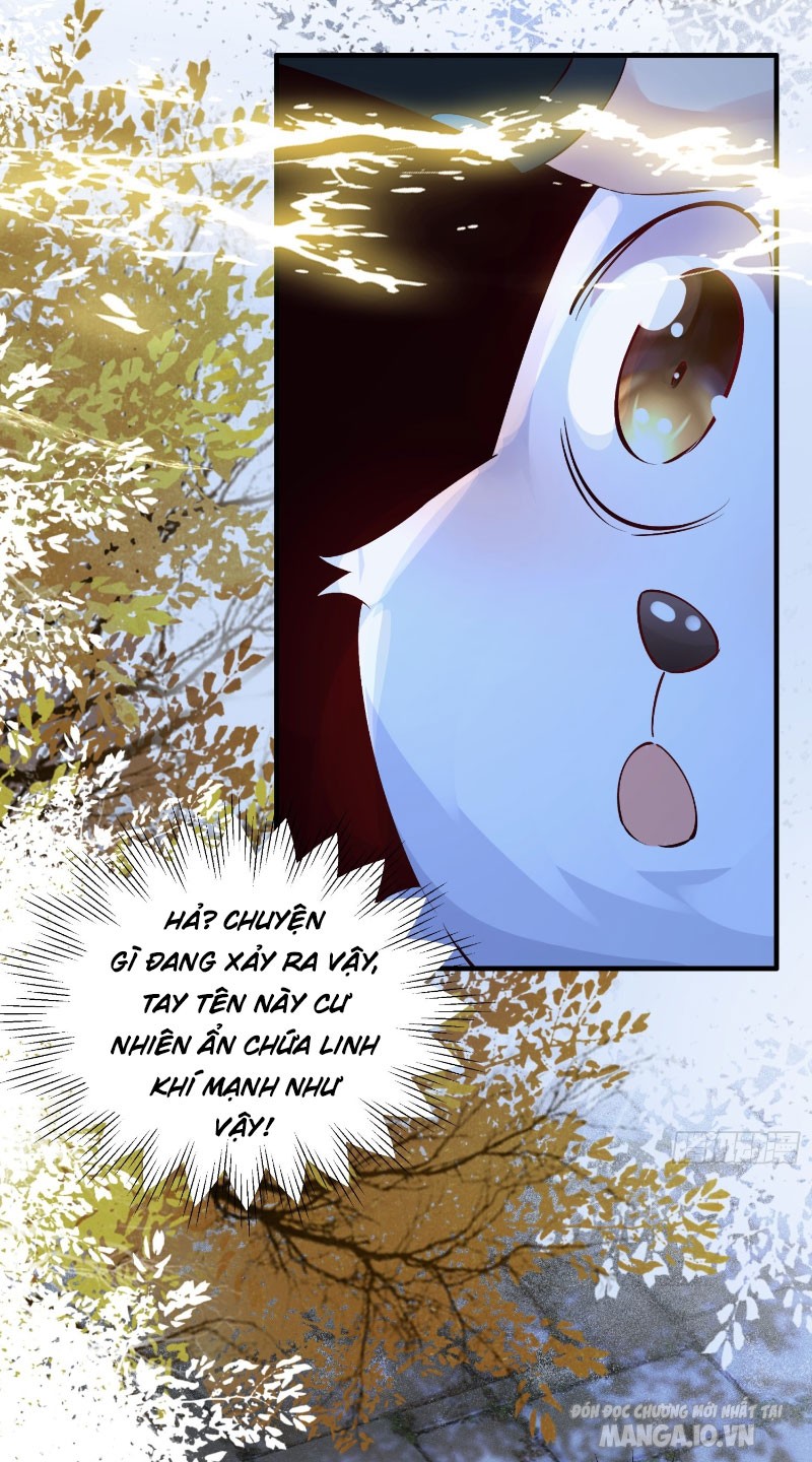 Ta Thật Không Muốn Làm Thần Tiên Chapter 3 - Trang 2