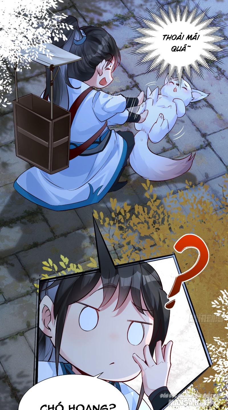 Ta Thật Không Muốn Làm Thần Tiên Chapter 3 - Trang 2