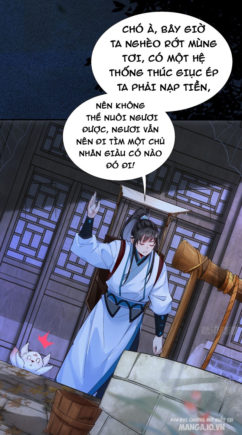 Ta Thật Không Muốn Làm Thần Tiên Chapter 3 - Trang 2