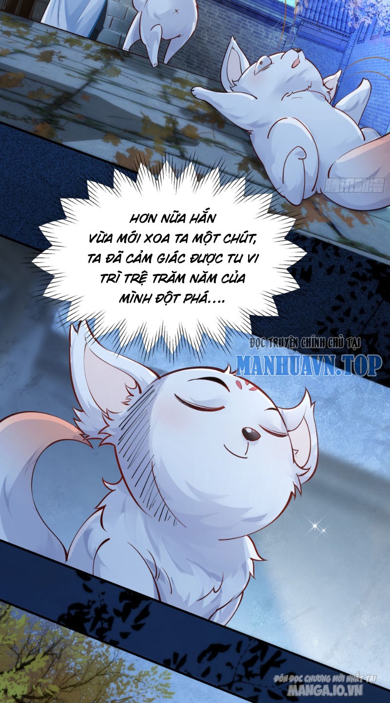 Ta Thật Không Muốn Làm Thần Tiên Chapter 3 - Trang 2