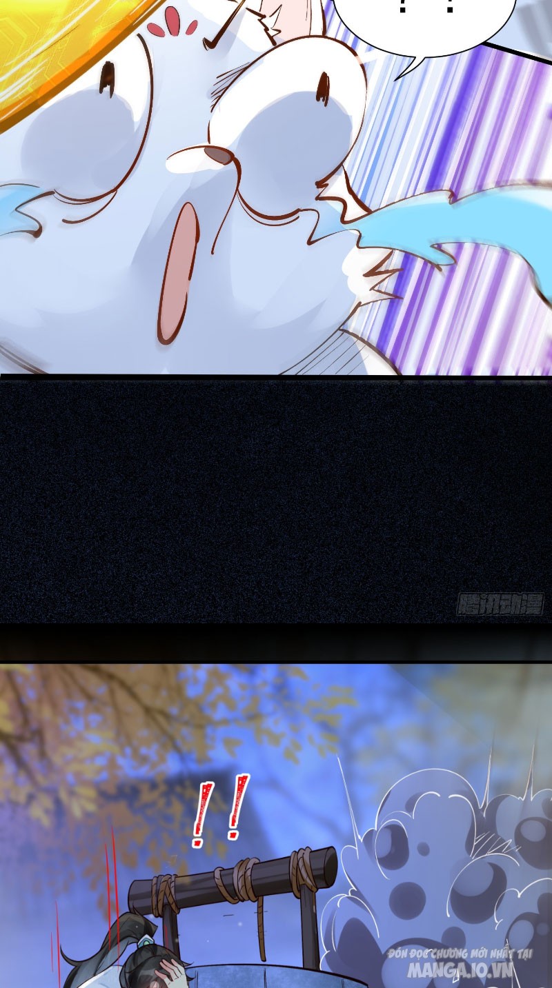 Ta Thật Không Muốn Làm Thần Tiên Chapter 3 - Trang 2