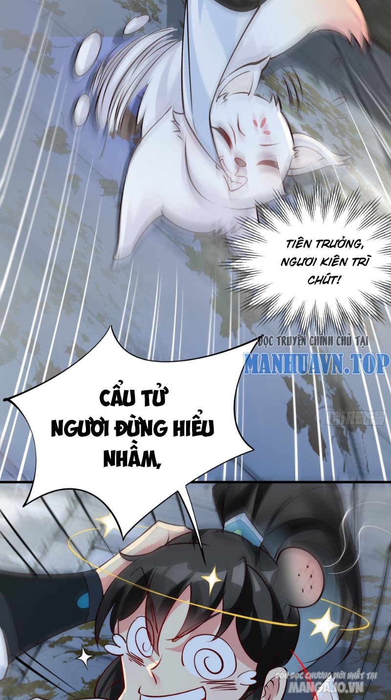 Ta Thật Không Muốn Làm Thần Tiên Chapter 3 - Trang 2