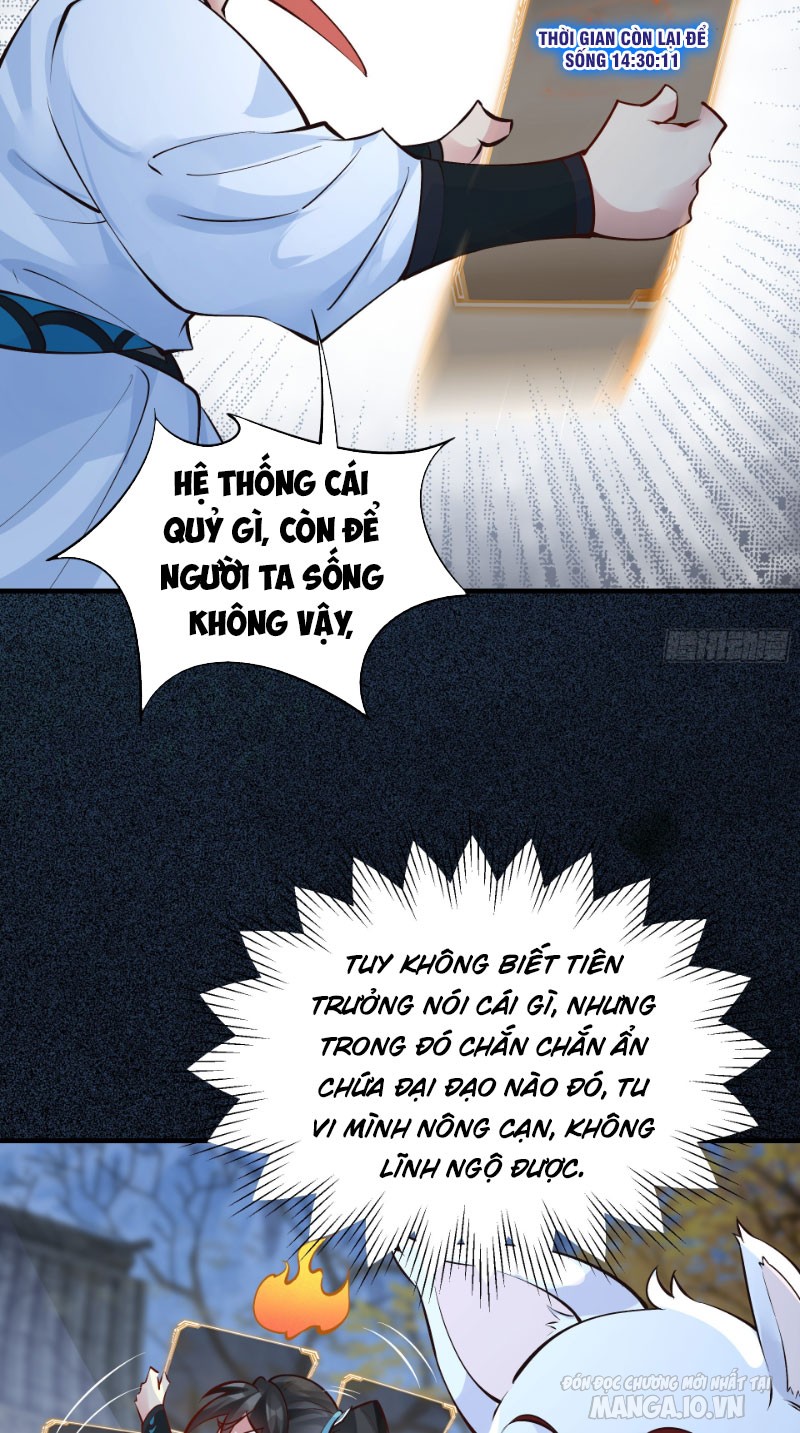 Ta Thật Không Muốn Làm Thần Tiên Chapter 3 - Trang 2