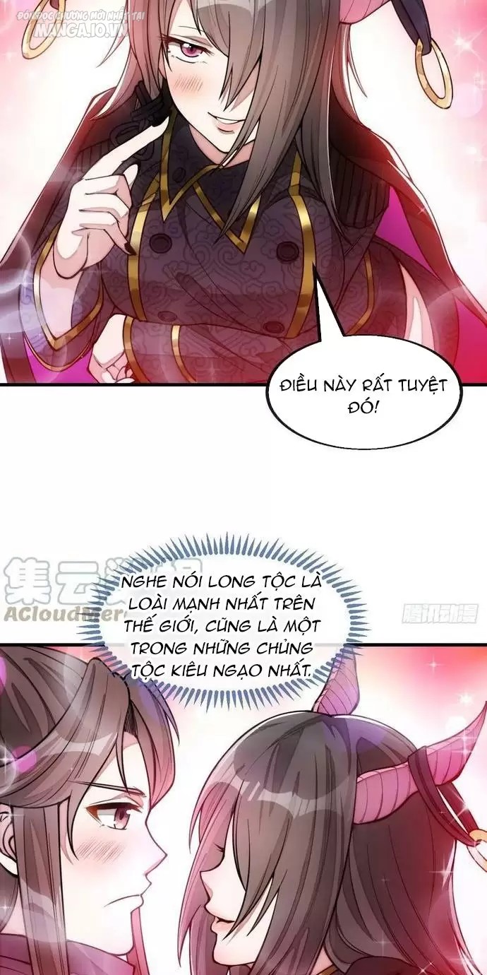 Ta Thật Không Phải Là Khí Vận Chi Tử Chapter 154 - Trang 2