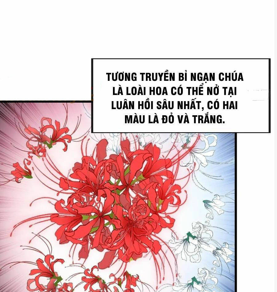 Ta Thật Không Phải Là Khí Vận Chi Tử Chapter 222 - Trang 2