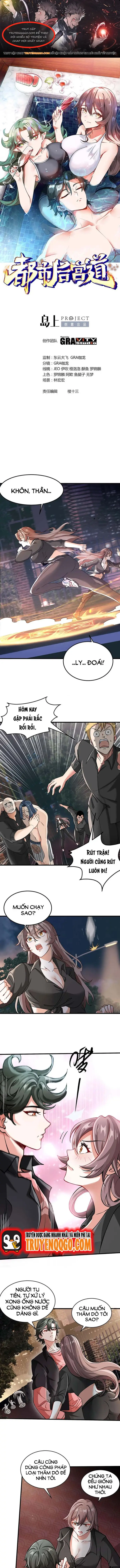 Ta Thu Thập Hậu Cung Ở Đô Thị Chapter 4 - Trang 2