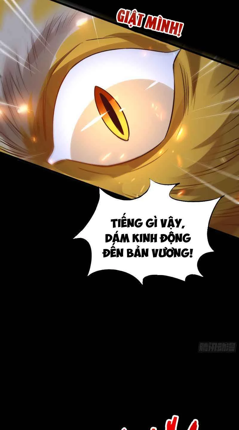 Ta Thực Sự Không Muốn Làm Thần Tiên Chapter 13 - Trang 2