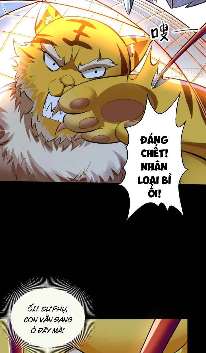 Ta Thực Sự Không Muốn Làm Thần Tiên Chapter 13 - Trang 2