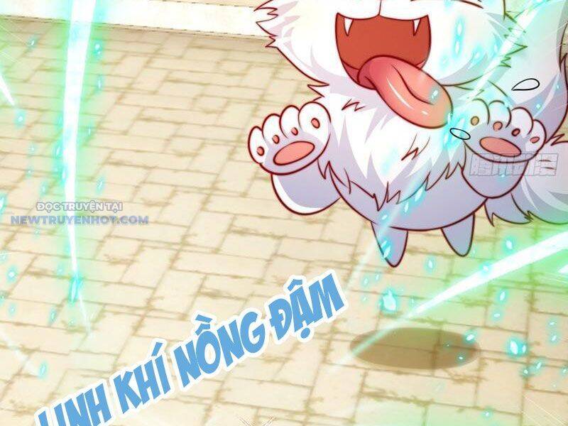 Ta Thực Sự Không Muốn Làm Thần Tiên Chapter 17 - Trang 2