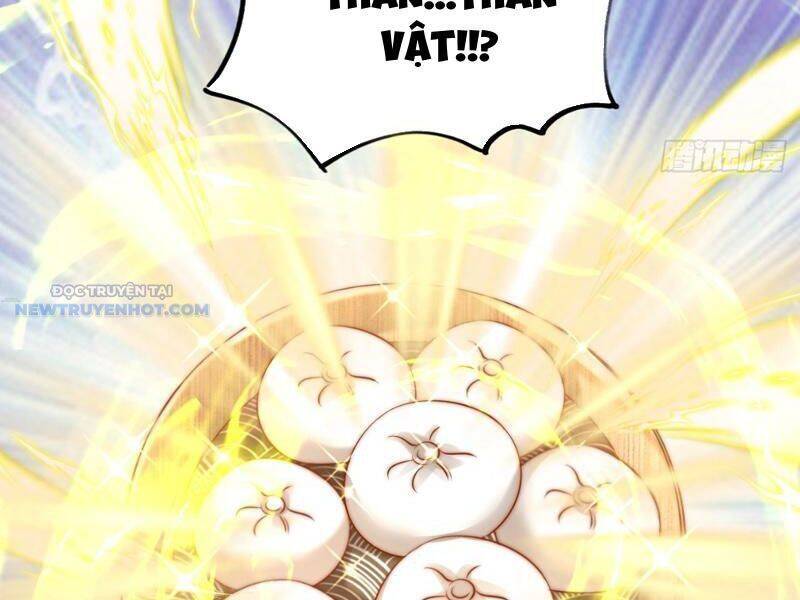 Ta Thực Sự Không Muốn Làm Thần Tiên Chapter 17 - Trang 2