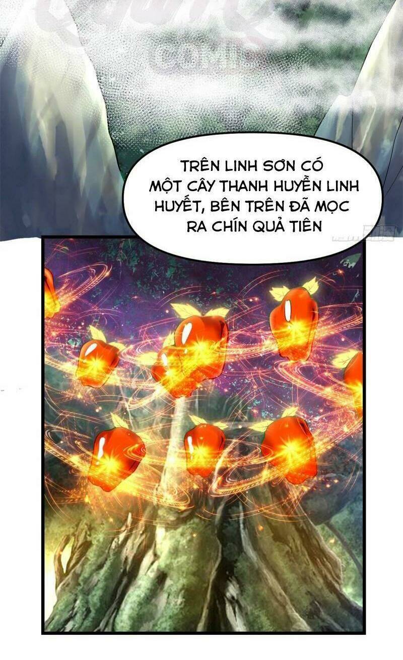 Ta Tu Có Lẽ Là Giả Tiên Chapter 63 - Trang 2