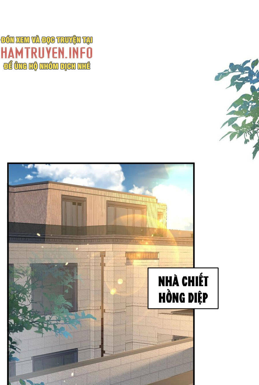 Ta Vô Địch Lúc Nào Chapter 174 - Trang 2