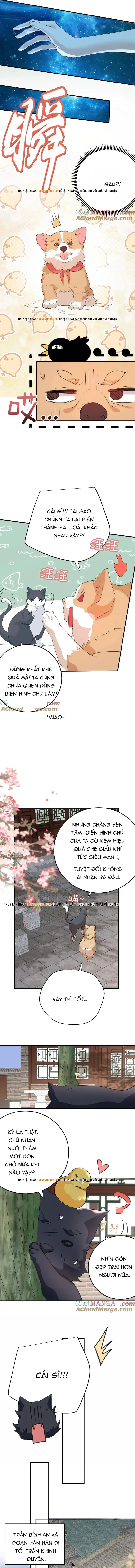 Ta Vô Địch Lúc Nào Chapter 303 - Trang 2