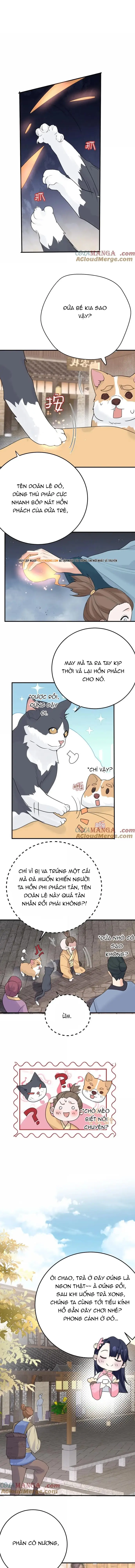 Ta Vô Địch Lúc Nào Chapter 304 - Trang 2