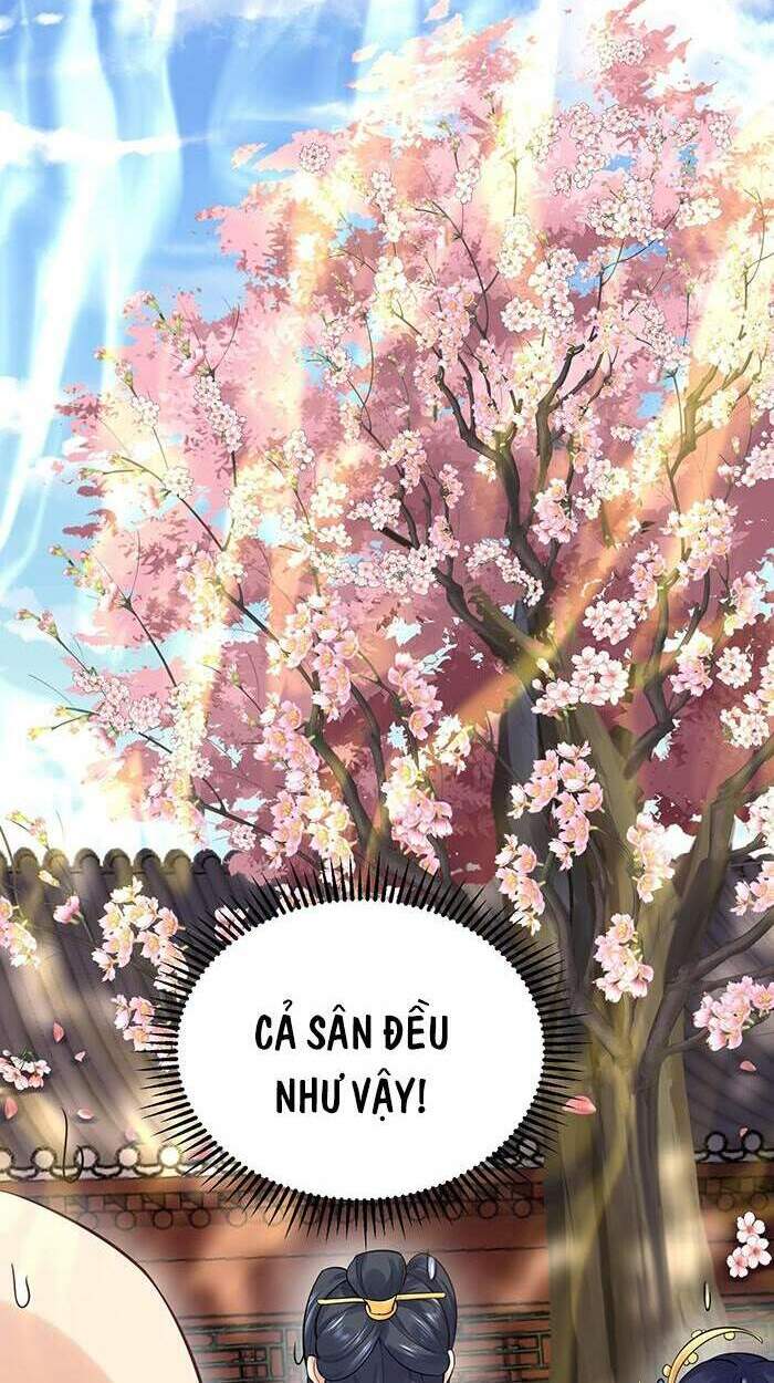 Ta Vô Địch Lúc Nào Chapter 4 - Trang 2