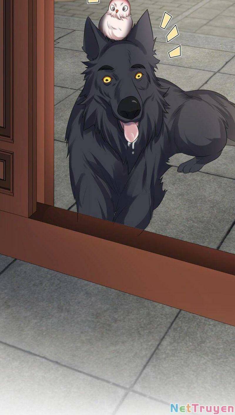 Ta Vô Địch Lúc Nào Chapter 98 - Trang 2