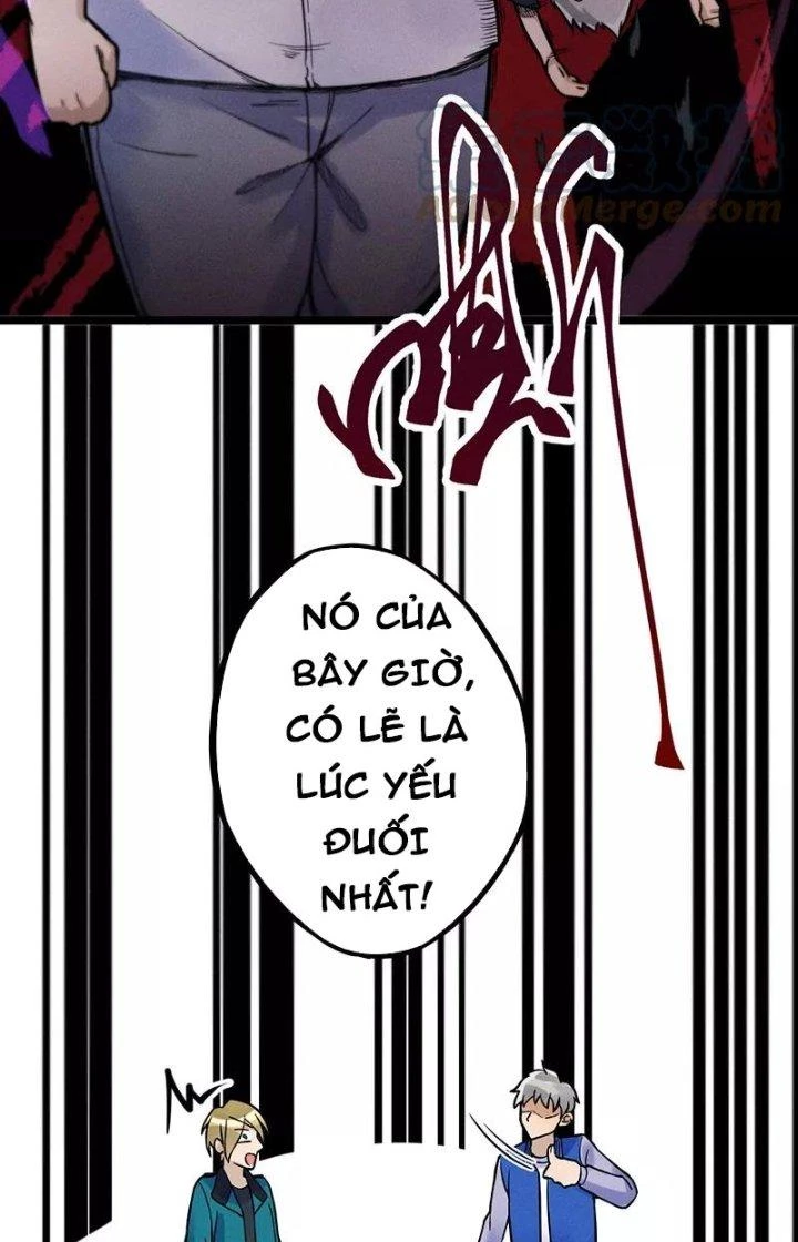 Ta Vô Địch Nhờ Siêu Béo Chapter 10 - Trang 2