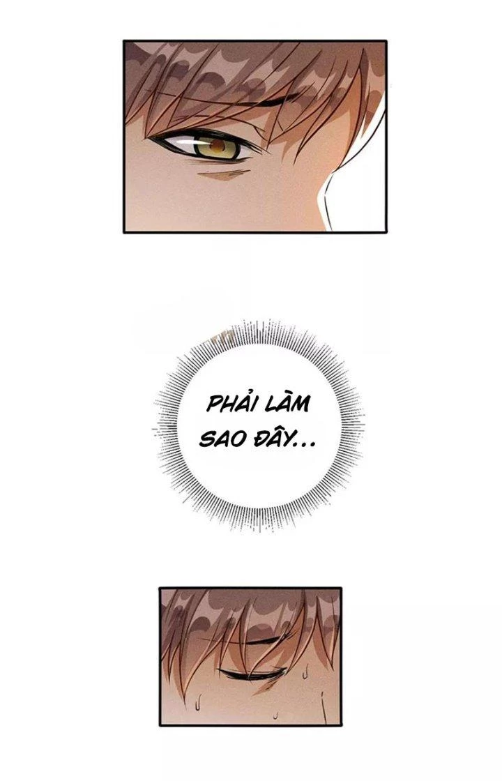 Ta Vô Địch Nhờ Siêu Béo Chapter 13 - Trang 2