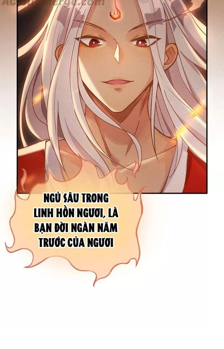 Ta Vô Địch Nhờ Siêu Béo Chapter 16 - Trang 2