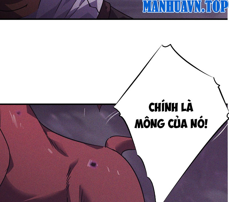 Ta Vô Địch Phản Sáo Lộ Chapter 1 - Trang 2