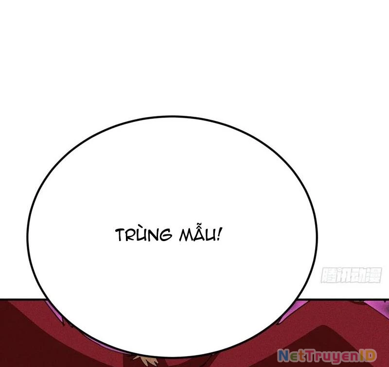 Ta Vô Địch Phản Sáo Lộ Chapter 46 - Trang 2