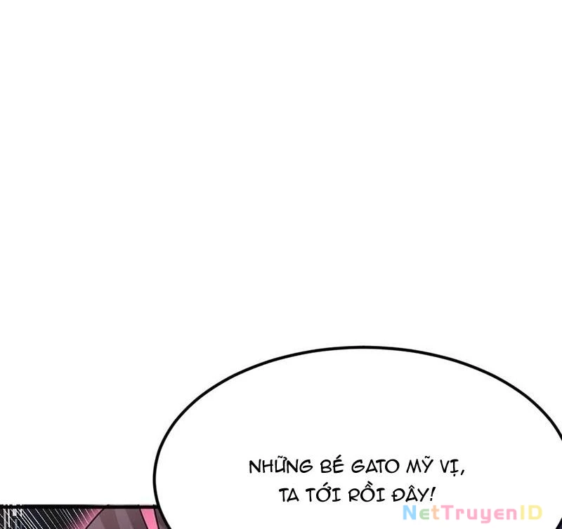 Ta Vô Địch Phản Sáo Lộ Chapter 46 - Trang 2