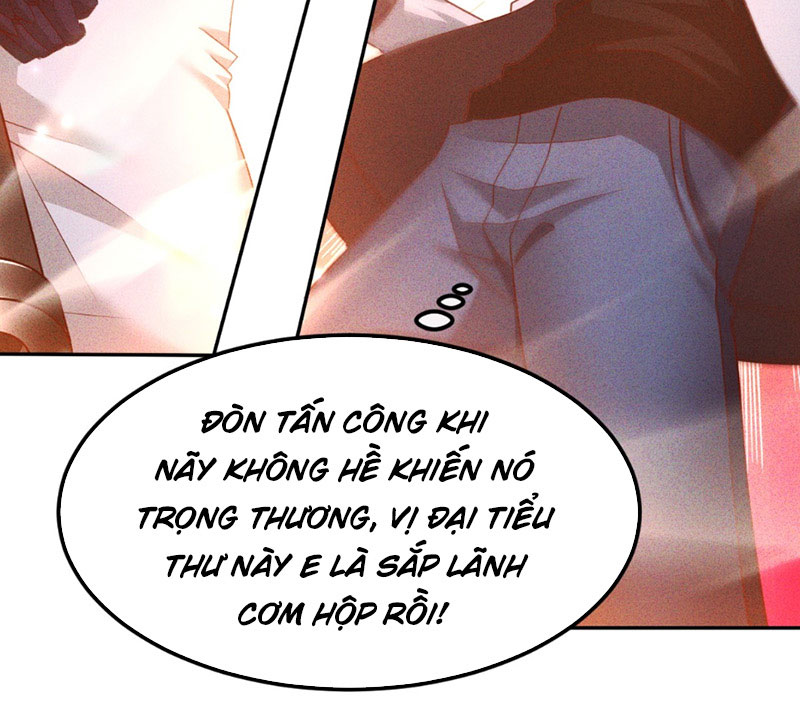 Ta Vô Địch Phản Sáo Lộ Chapter 5 - Trang 2