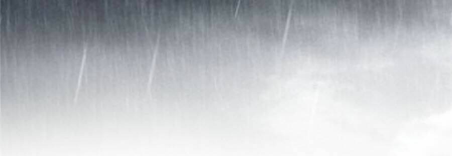 Tà Vương Phúc Hắc Sủng Nhập Cốt Chapter 94 - Trang 2