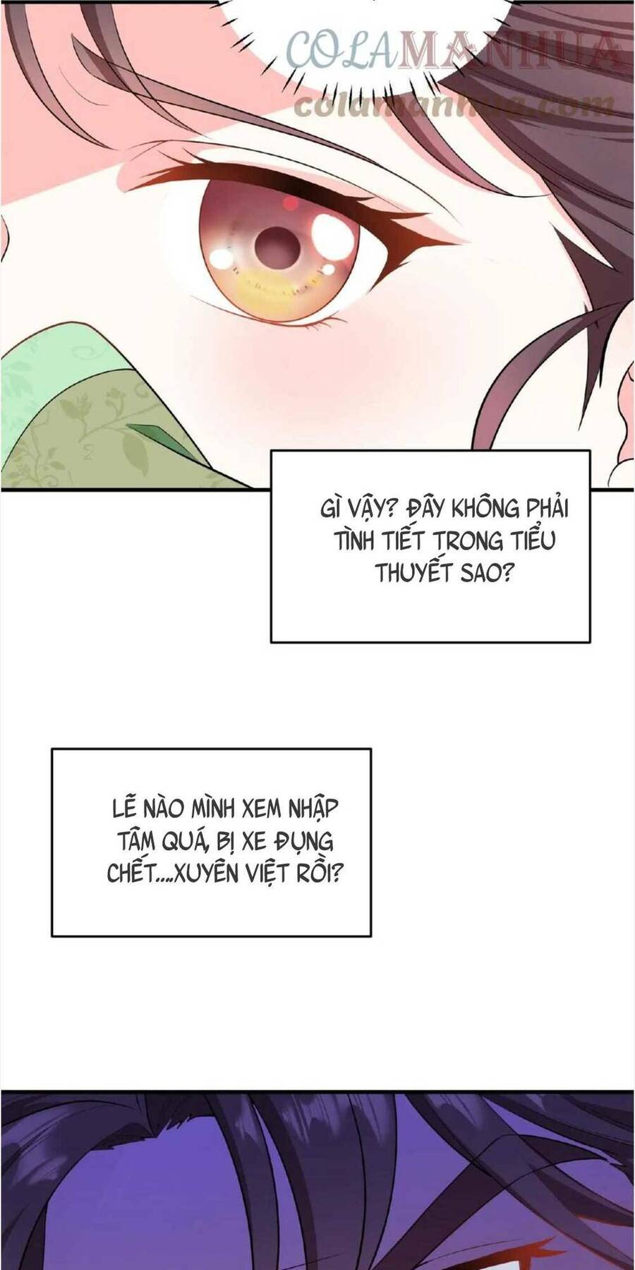 Ta Xuyên Về Hồi Nhỏ Của Đại Bạo Quân , Để Đánh Vỡ Bình Sữa Của Hắn Chapter 1 - Trang 2