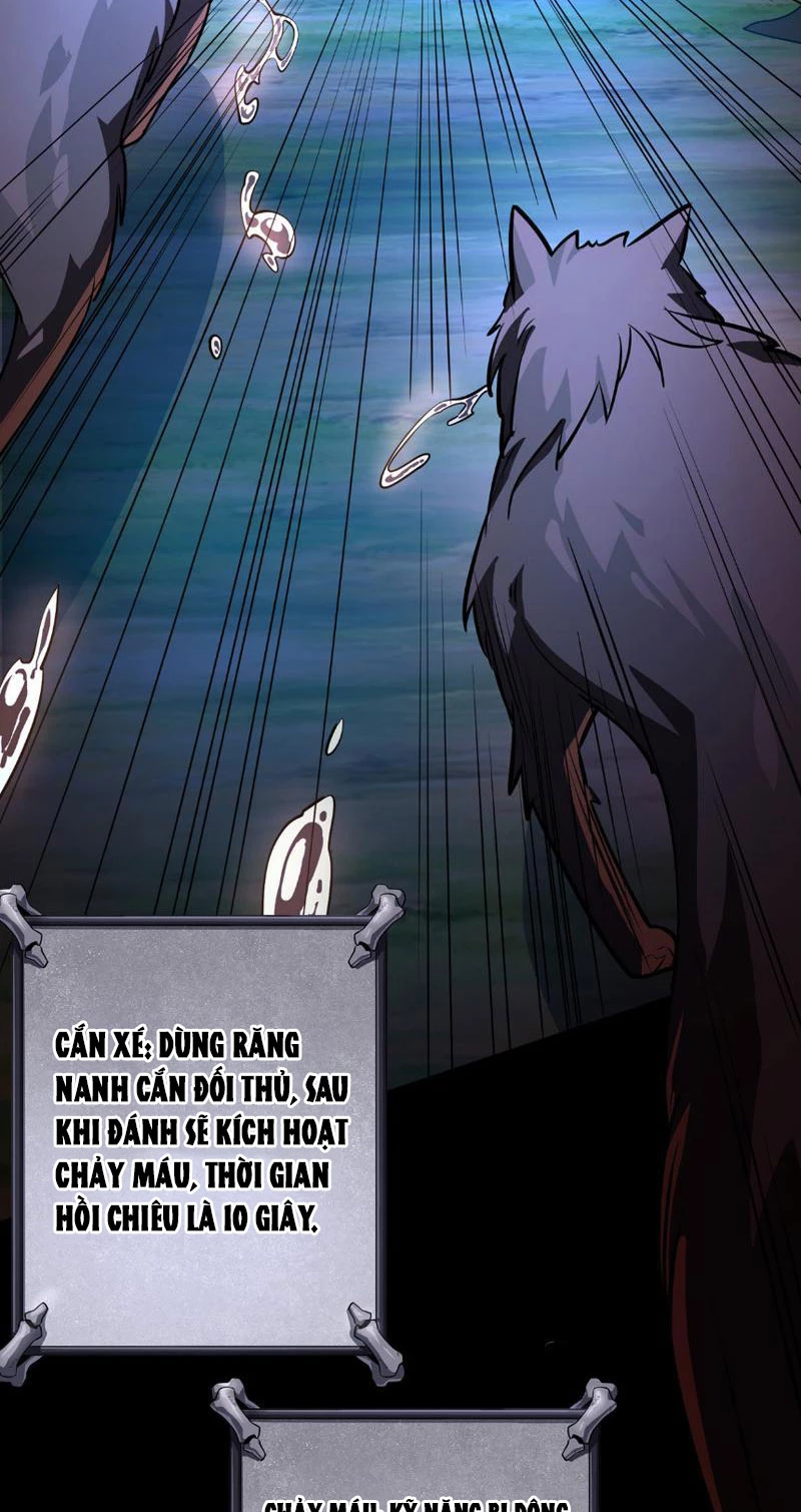 Tai Ách Cấp Mục Sư Chapter 2 - Trang 2