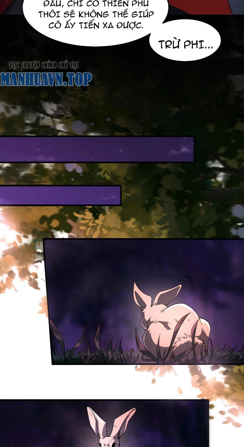 Tai Ách Cấp Mục Sư Chapter 2 - Trang 2