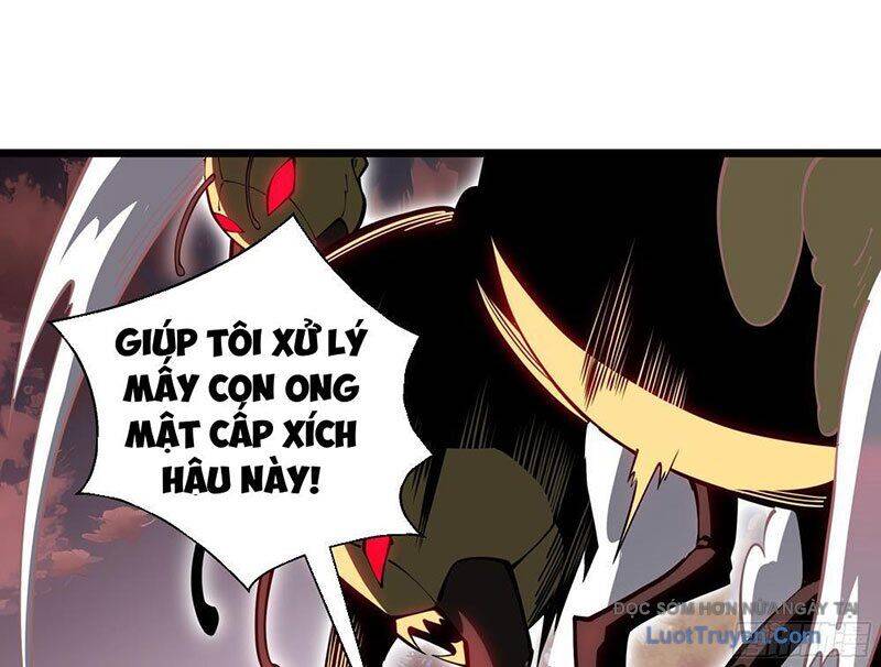 Tai Ách Giáng Lâm: Ta Tiến Hóa Thành Tinh Hồng Đế Vương Chapter 12 - Trang 2