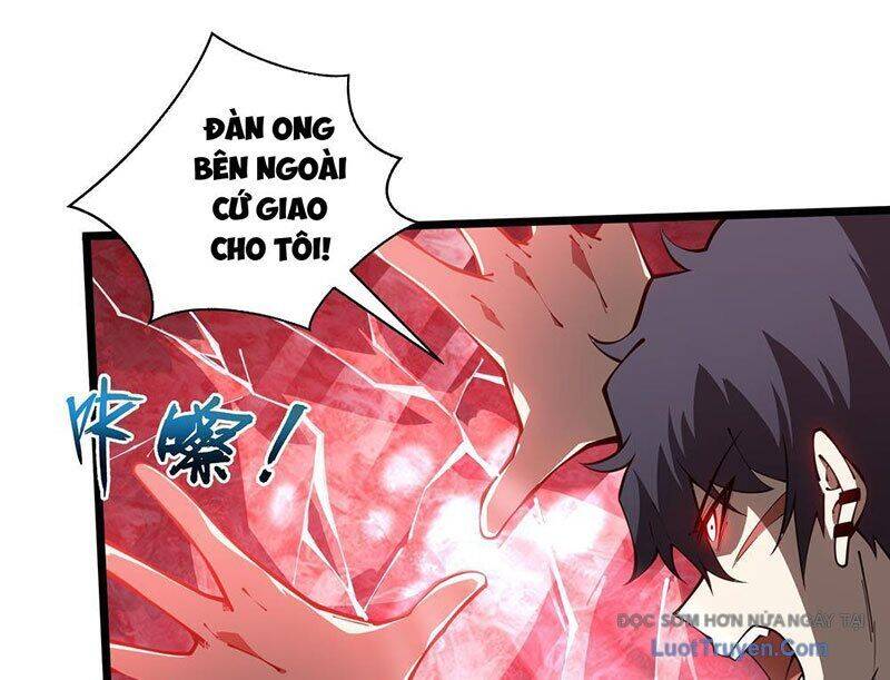 Tai Ách Giáng Lâm: Ta Tiến Hóa Thành Tinh Hồng Đế Vương Chapter 12 - Trang 2