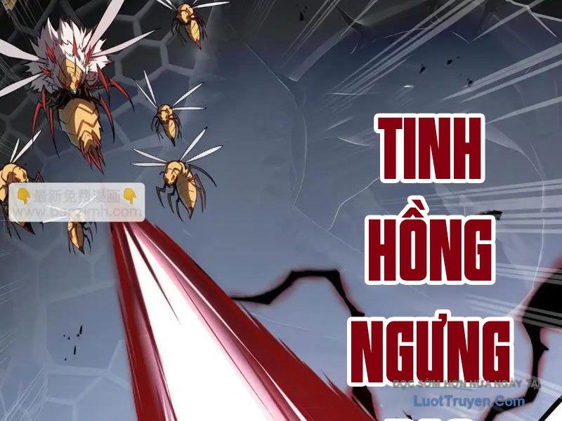 Tai Ách Giáng Lâm: Ta Tiến Hóa Thành Tinh Hồng Đế Vương Chapter 14 - Trang 2