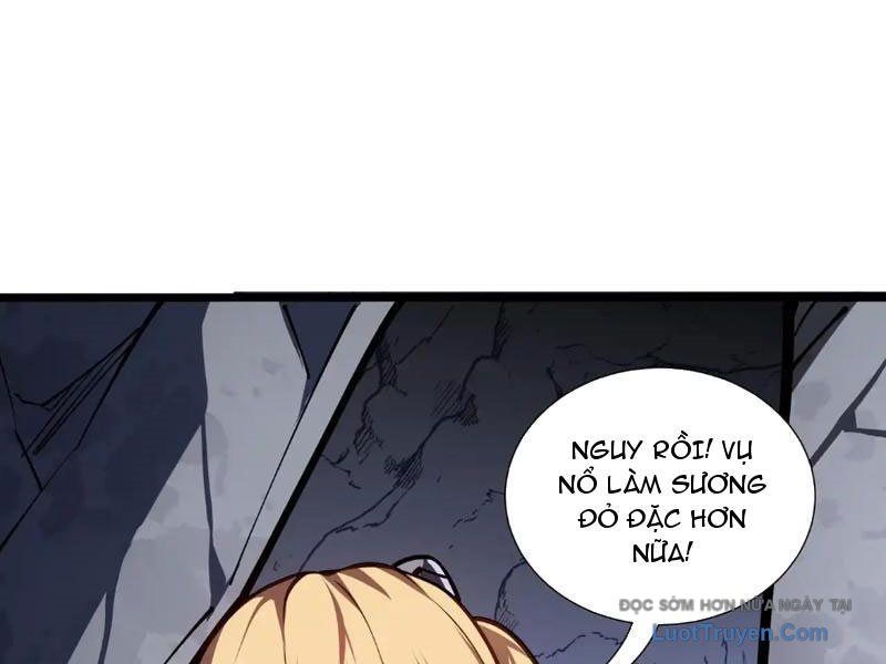 Tai Ách Giáng Lâm: Ta Tiến Hóa Thành Tinh Hồng Đế Vương Chapter 14 - Trang 2