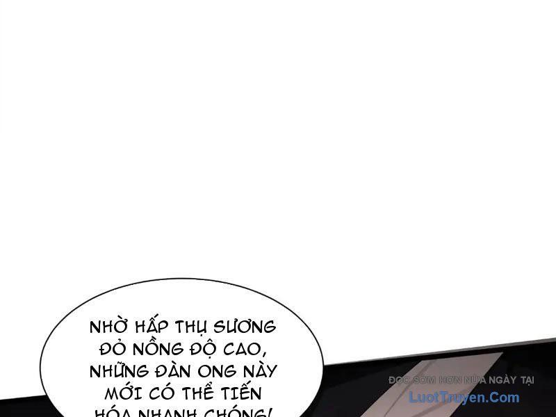 Tai Ách Giáng Lâm: Ta Tiến Hóa Thành Tinh Hồng Đế Vương Chapter 14 - Trang 2