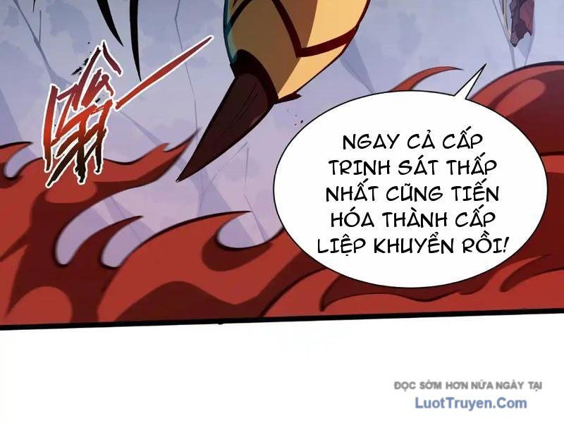 Tai Ách Giáng Lâm: Ta Tiến Hóa Thành Tinh Hồng Đế Vương Chapter 14 - Trang 2