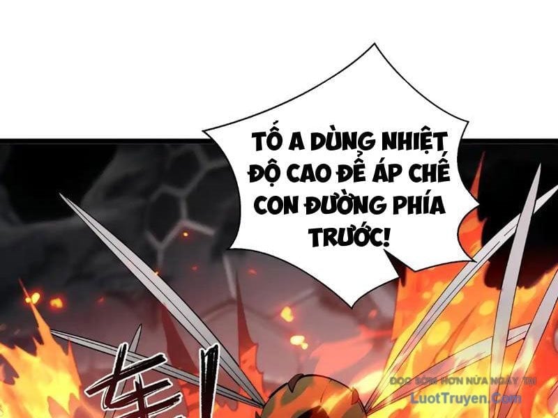 Tai Ách Giáng Lâm: Ta Tiến Hóa Thành Tinh Hồng Đế Vương Chapter 15 - Trang 2