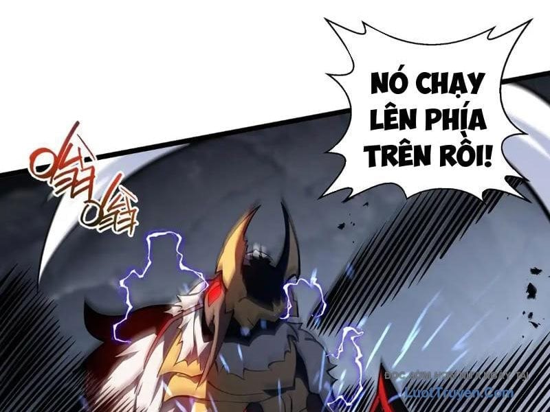 Tai Ách Giáng Lâm: Ta Tiến Hóa Thành Tinh Hồng Đế Vương Chapter 15 - Trang 2