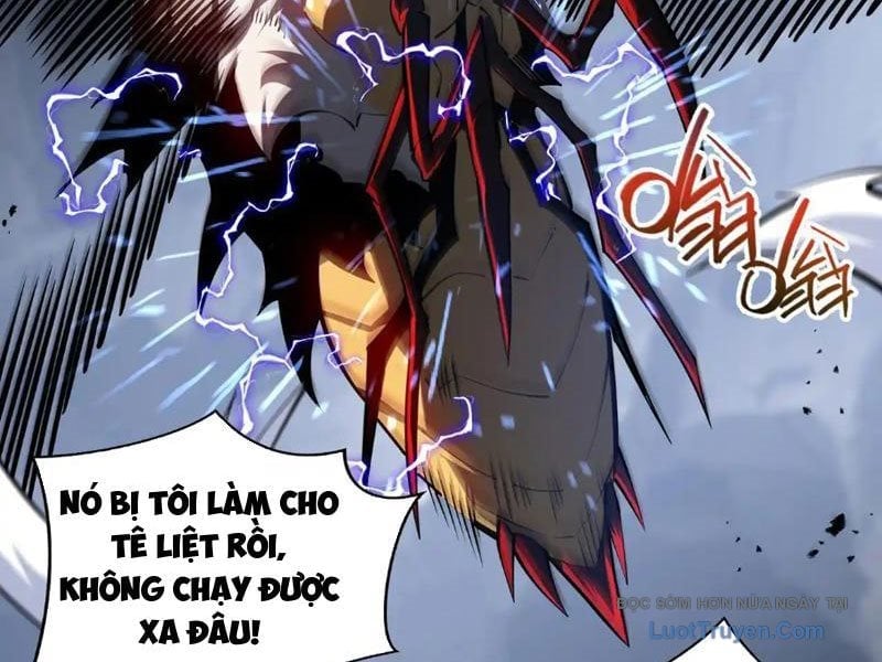 Tai Ách Giáng Lâm: Ta Tiến Hóa Thành Tinh Hồng Đế Vương Chapter 15 - Trang 2