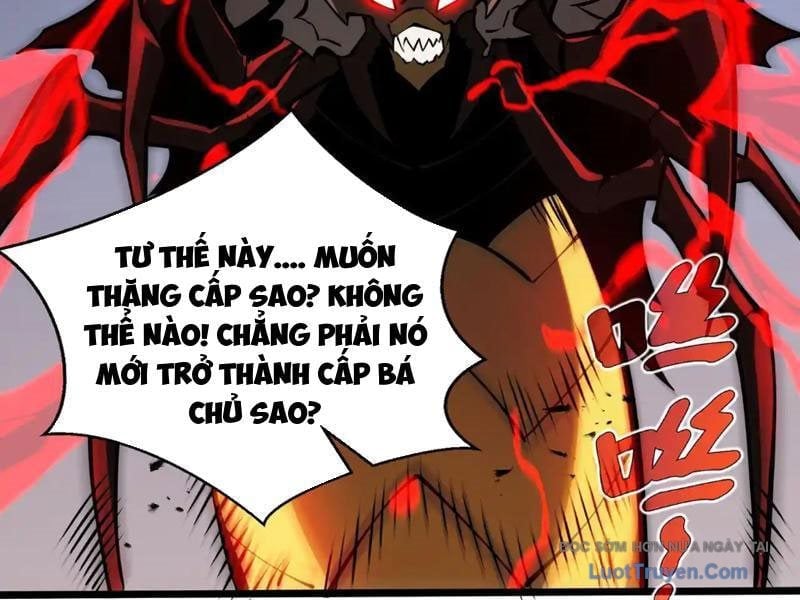 Tai Ách Giáng Lâm: Ta Tiến Hóa Thành Tinh Hồng Đế Vương Chapter 15 - Trang 2