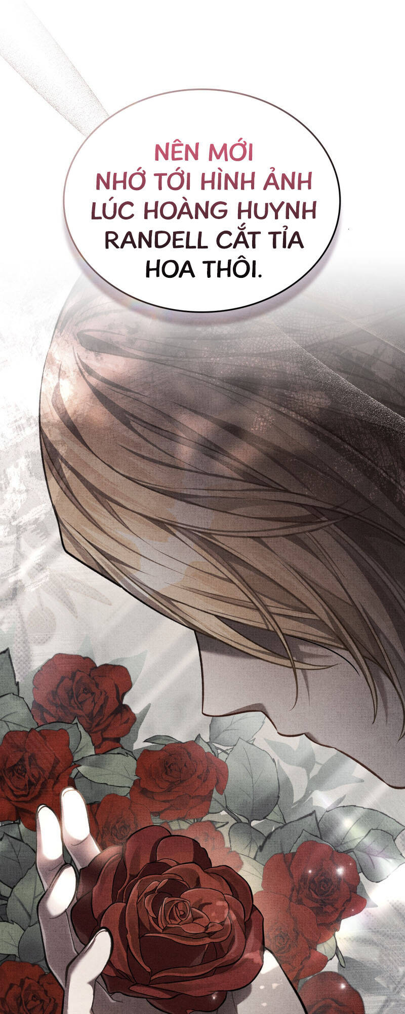 Tái Sinh Thành Hoàng Tử Của Quốc Gia Kẻ Địch Chapter 25 - Trang 2