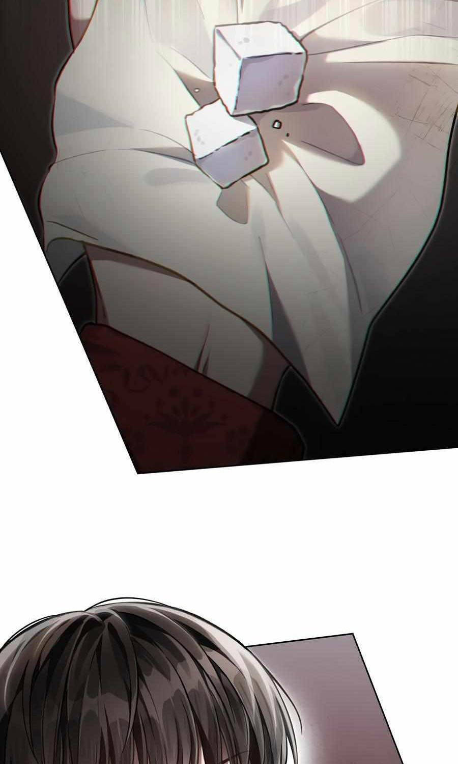 Tái Sinh Thành Hoàng Tử Của Quốc Gia Kẻ Địch Chapter 36 - Trang 2