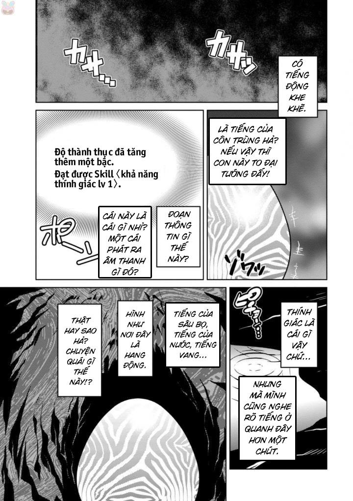 Tái Sinh Thành Nhện Chapter 45.5 - Trang 2