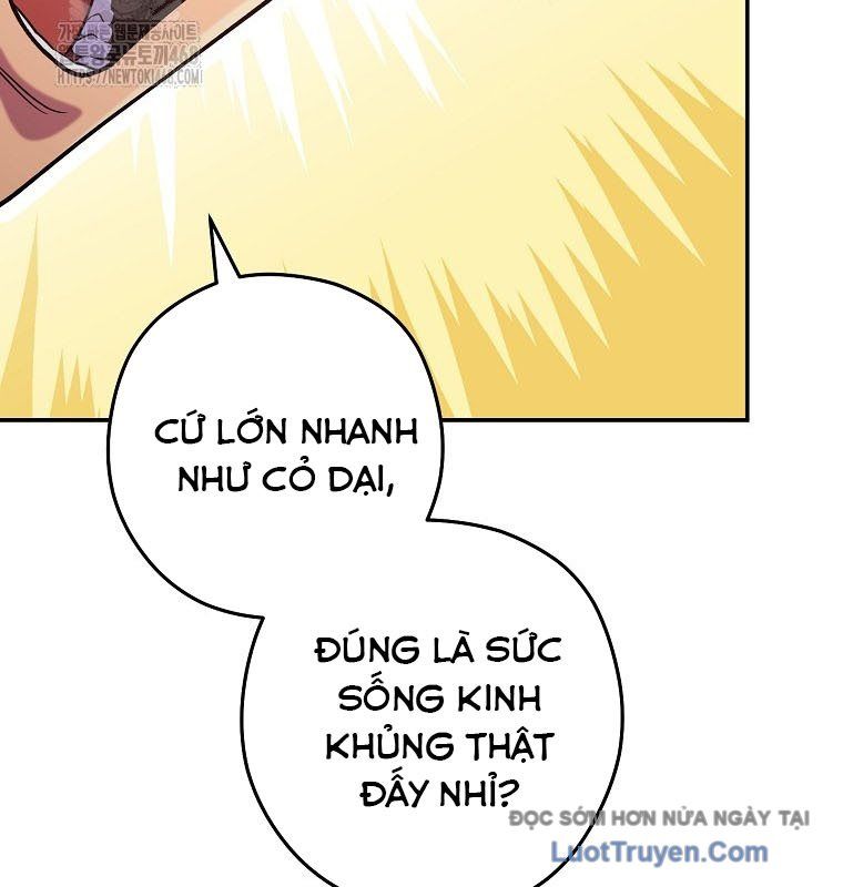 Tái Thiết Hầm Ngục Chapter 262 - Trang 2