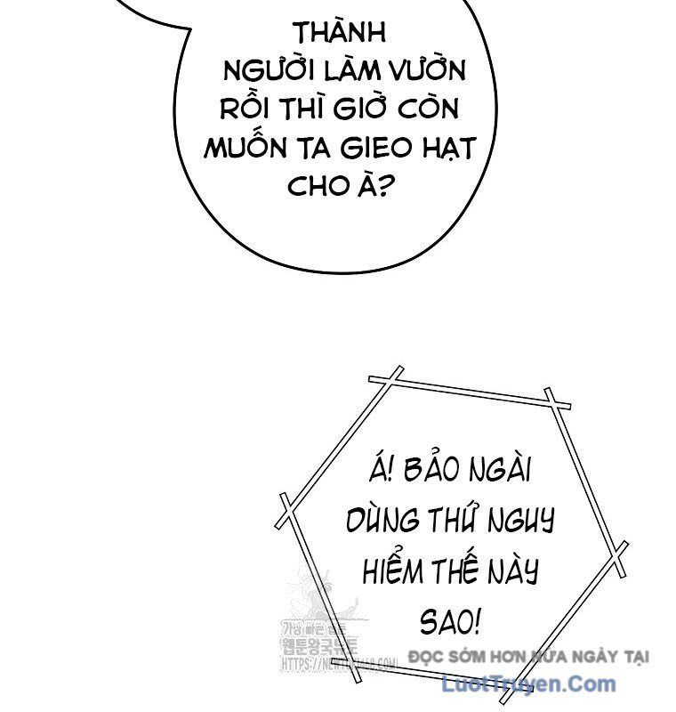 Tái Thiết Hầm Ngục Chapter 262 - Trang 2